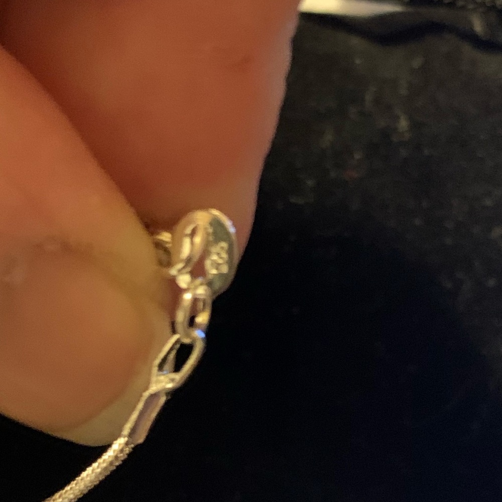 DO NOT PURCHASE ITS FOR SBJORNSSTERLING SILVER NECKLACE - Picture 6 of 6